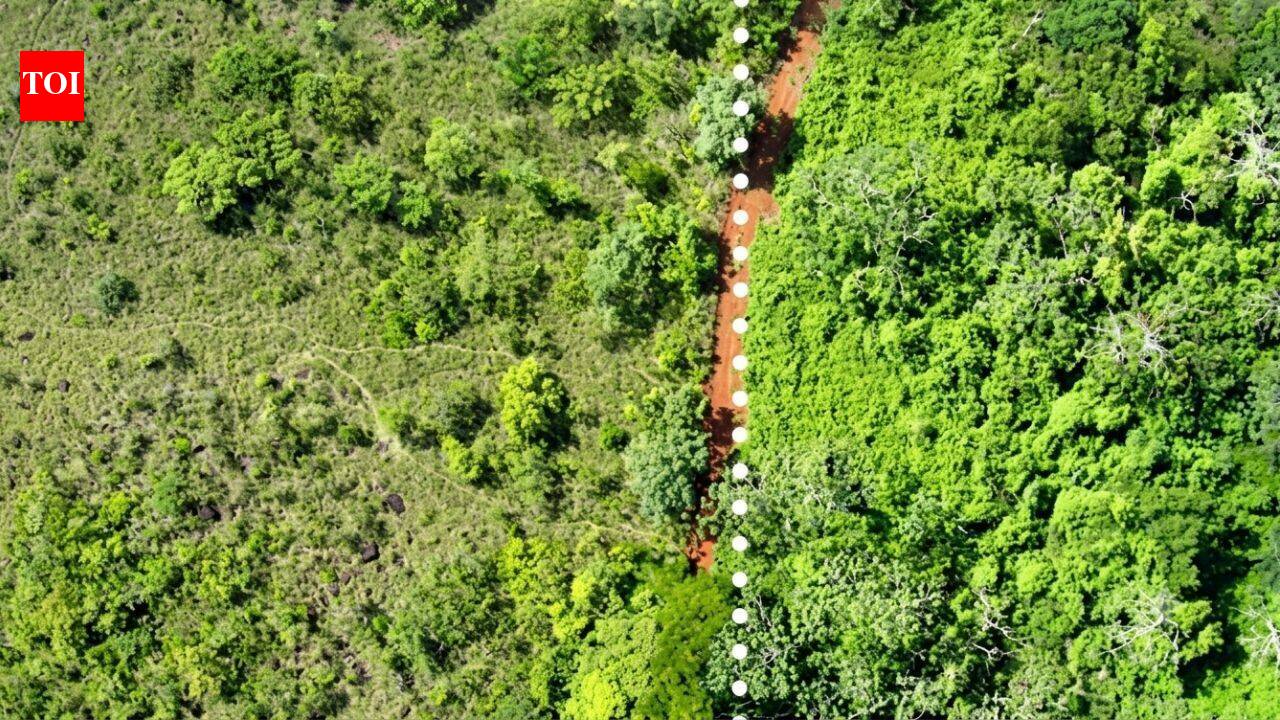 In 1998, Costa Rica spread 12,000 tonnes of orange waste; 16 years later, forest biomass rose 176%