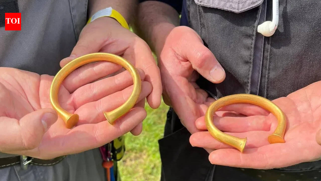 A British metal detectorist thought he'd found a bull's nose ring