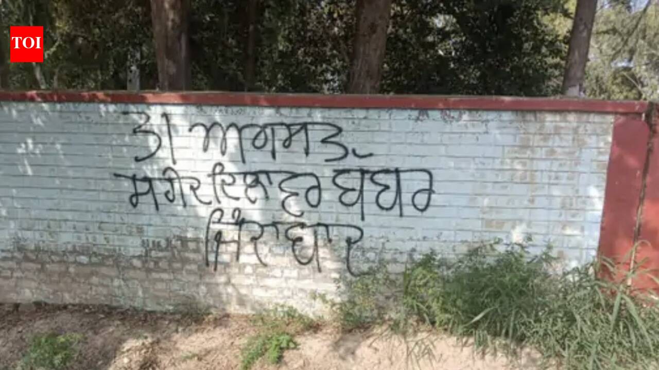 Bathinda cops file case over graffiti eulogizing suicide bomber
