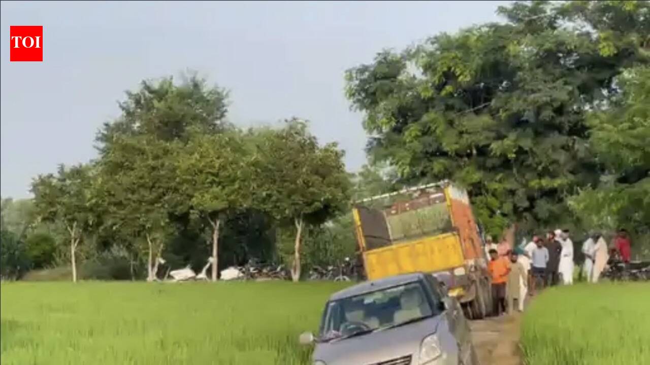 Muddy track derails transformer theft plan