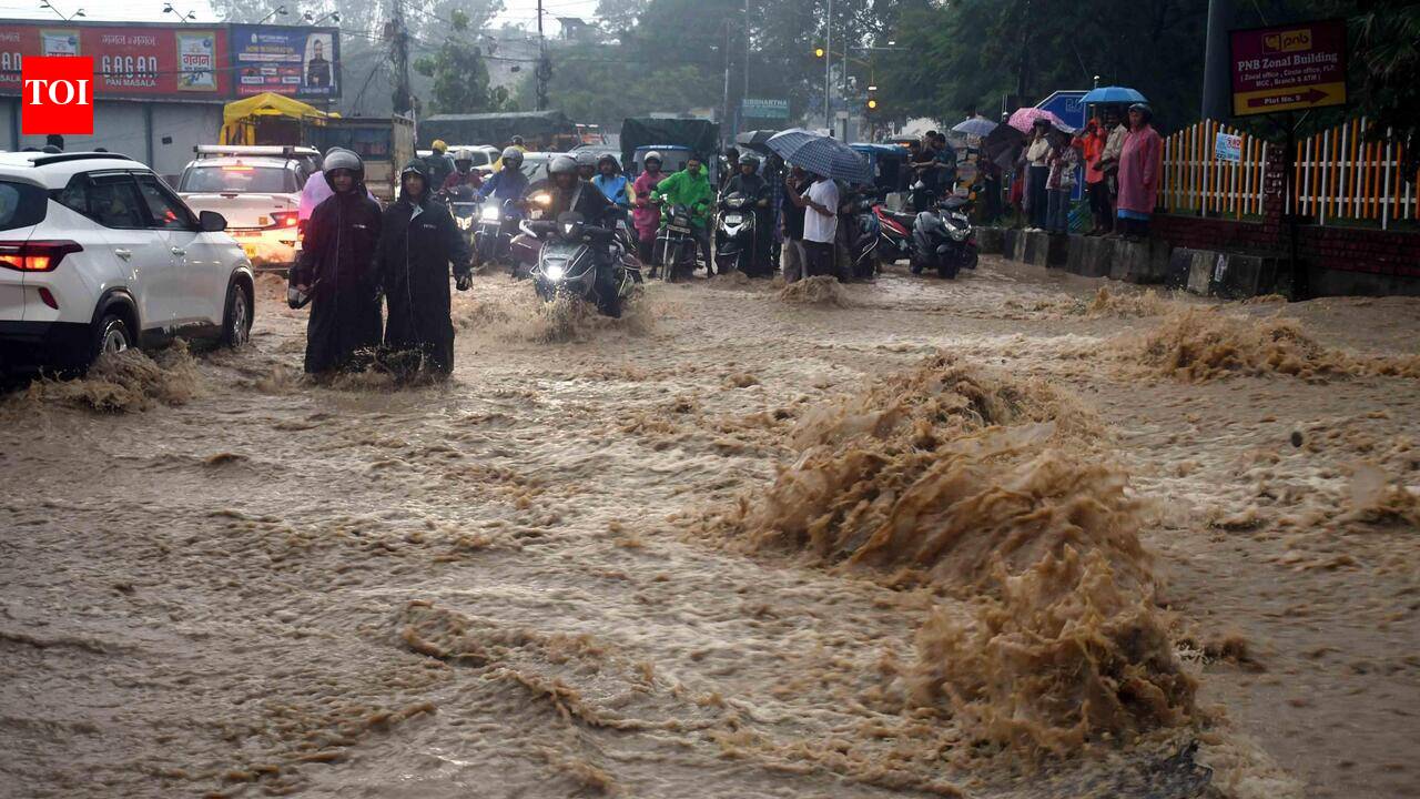 India's monsoon may turn more extreme, with fewer, fiercer downpours: IIT-R study