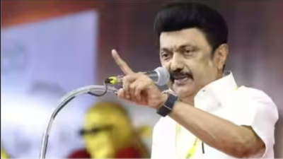 Stalin moves Madras high court challenging election of TVK candidate in Kolathur