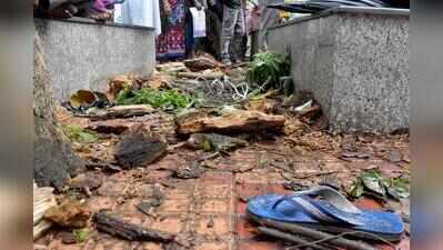SSKM tree branch collapse kills woman, injures two
