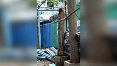 SSKM tree branch collapse kills woman, injures two