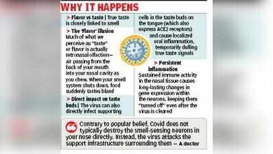 Milder Covid variant causes severe loss of taste, smell in Kol