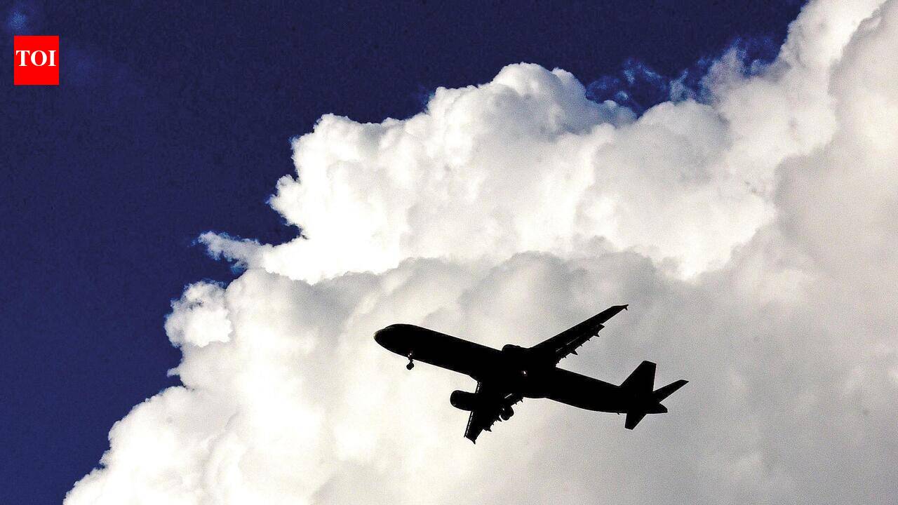 Tamil Nadu drops Parandur airport project. What now?
