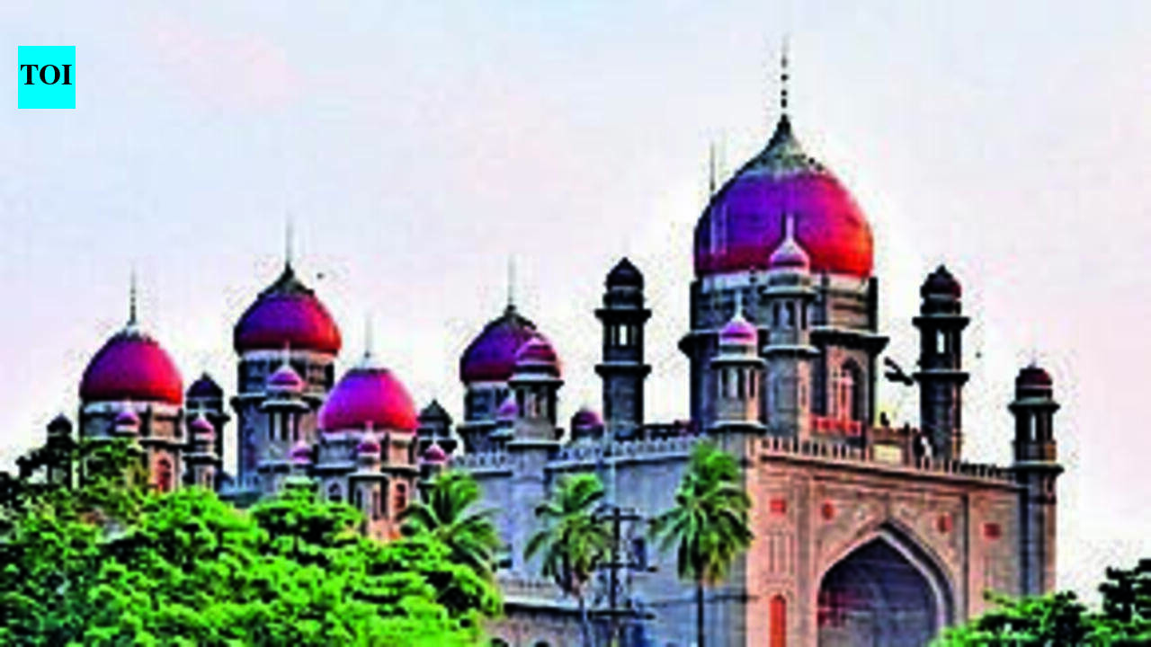 Telangana high court seeks statewide data on infant trafficking cases