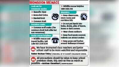 Snake Alert Reaches Kolkata’s Old Schools