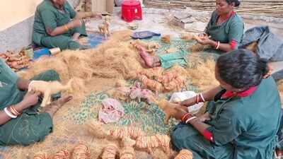 BMC’s coconut waste mgmt generates both health & wealth