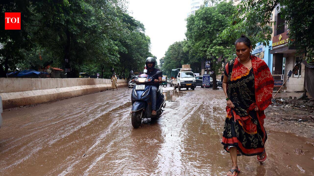 Trans-Hindon residents plan to move court over flooded roads, MLA admits ‘I'm facing problems too'