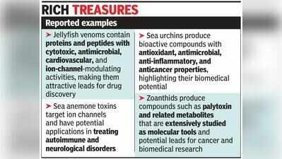 CSIR-NIO scientists study venomous sea creatures to discover new medicines