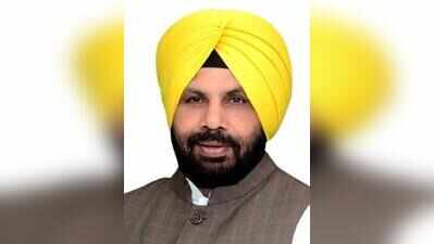 Ropar to get new steel bridge over Sirhind Canal