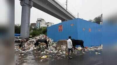 Sanitation strike enters Day 19 as rain adds to civic mess
