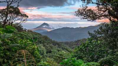In 1972, Costa Rica began protecting a misty mountain forest: Decades later, Monteverde’s 10,500 hectares have become a remarkable conservation story