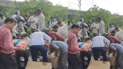 Watch: Kanpur factory dumps expired chocolates as garbage, locals loot them off highway