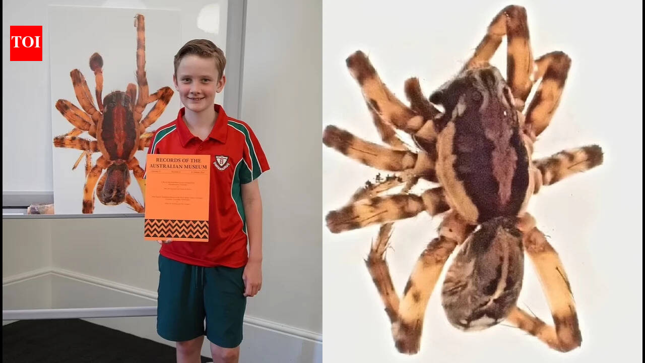 10-year-old found mystery spider; scientists later named new species after him