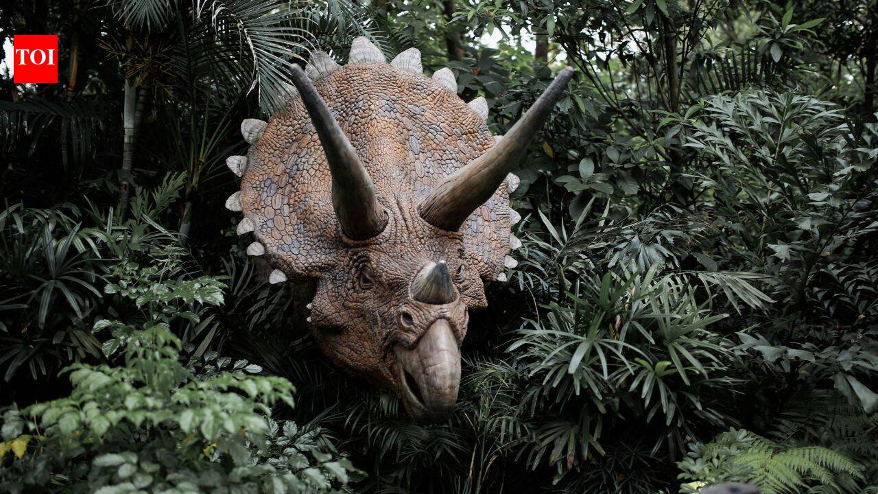 Did Dinosaurs eat fruit? Ancient seeds reveal that prehistoric forests were full of berries