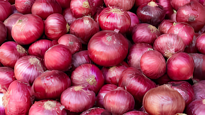 Onion prices soar 59% in a year: Centre rolls out ‘Kanda Express’ to bring relief