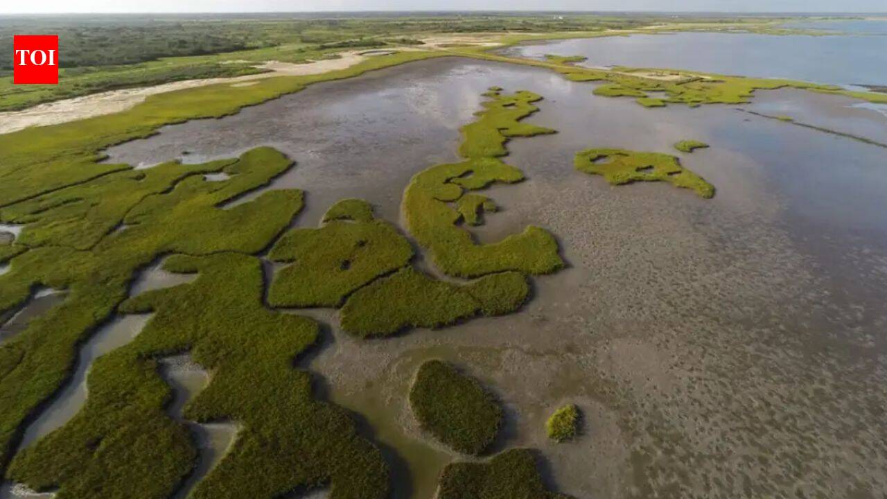 In 2014, Texas bought 17,351-acre Powderhorn Ranch; 15,000 acres later became a wildlife area