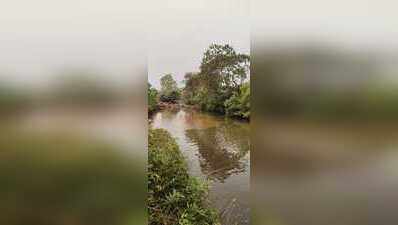 NGT panel finds toxic chromium in Sukinda valley