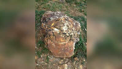 3-year mission to map fossils, biodiversity and tribal heritage in Rajmahal Hills