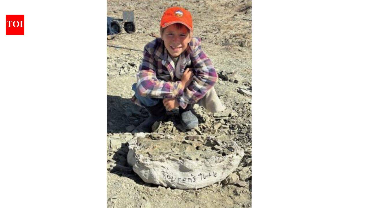 11-year-old finds 48-million-year-old turtle fossil in Wyoming