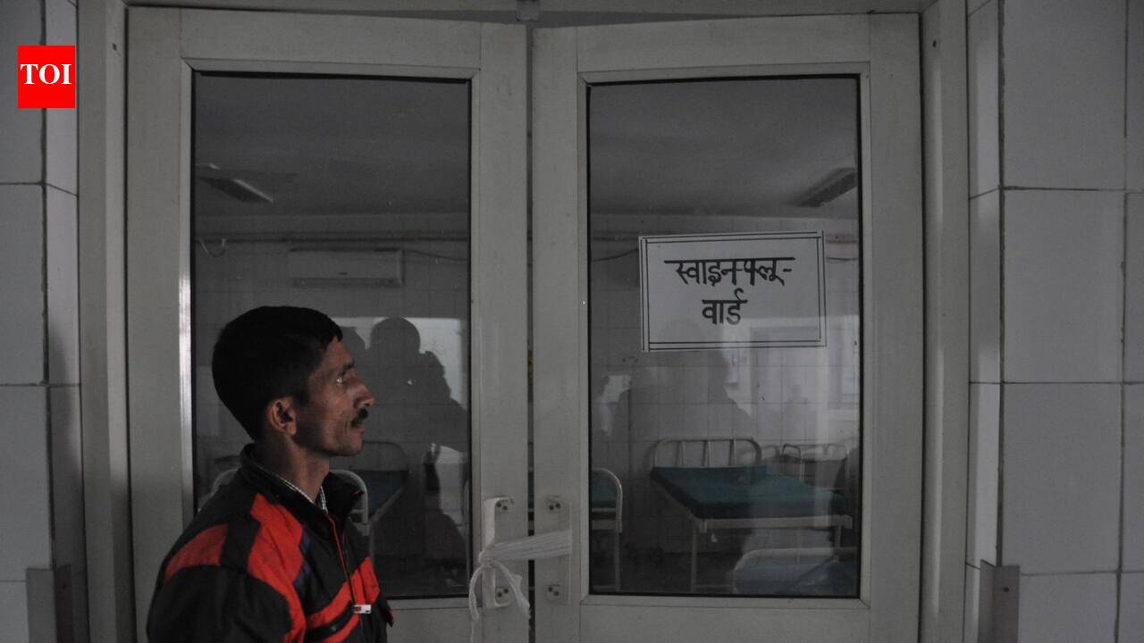 5 swine flu deaths, 49 cases so far in Aug in Doon