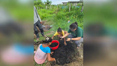 Biochar experiment to turn weeds into wealth, to use invasive vegetation for jumbo habitat restoration