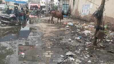 JMC limits, but no relief: Goner drowns in sewage, awaits relief