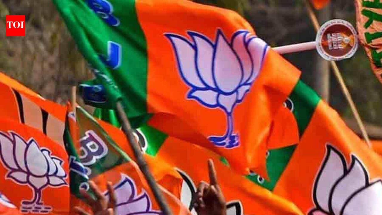 ‘BJP to contest all 117 Punjab seats alone'