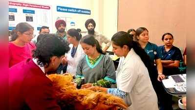 Vet varsity hosts workshop on pet, livestock echocardiography