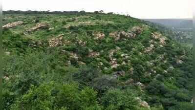 Mining-hit Haryana areas left out of Aravali panel visit, say experts