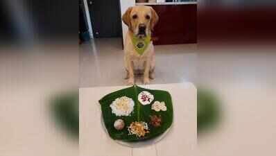From Sadhya in homes and delivery kitchens to pet-friendly feasts, Pune celebrates Onam