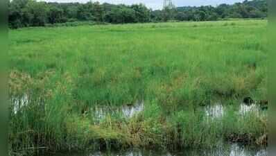 Cabinet clears land acquisition exemptions for defence, key infra projects