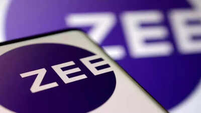 Zee moves SAT, seeks one-day extension for warrant subscription
