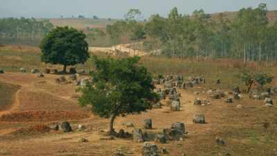 Archaeologists discover remains of 37 people, including toddlers, inside an ancient giant stone jar in Laos; how Indian travellers can explore the mysterious Plain of Jars