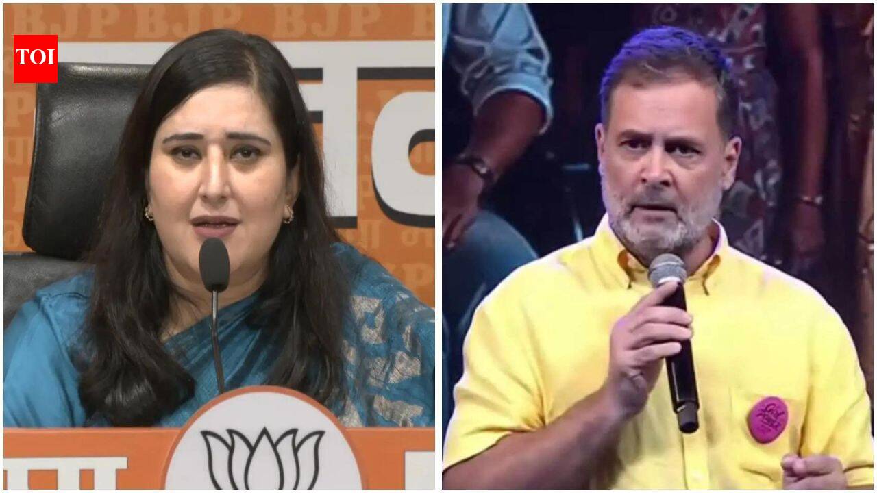 ‘Shouldn't it begin with Congress?' BJP targets Rahul over 'smash patriarchy’ remark