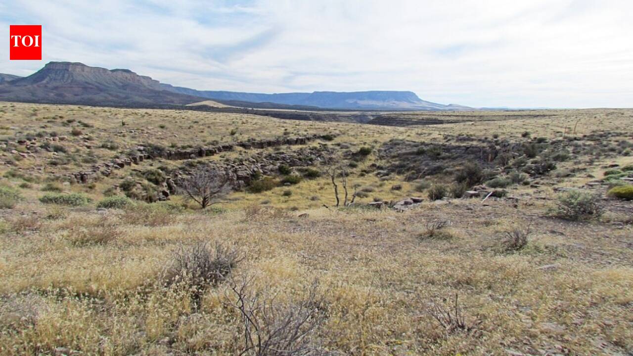 From 2015 to 2017, scientists traced four fluorescent dyes through five Grand Canyon sinkholes; three reached 20 monitoring sites across about 31 miles