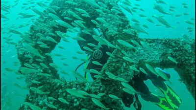according-to-its-official-website-the-museum-was-a-collaboration-between-the-cultural-arts-alliance-of-walton-county-and-the-south-walton-artificial-reef-association-in-2018.jpg