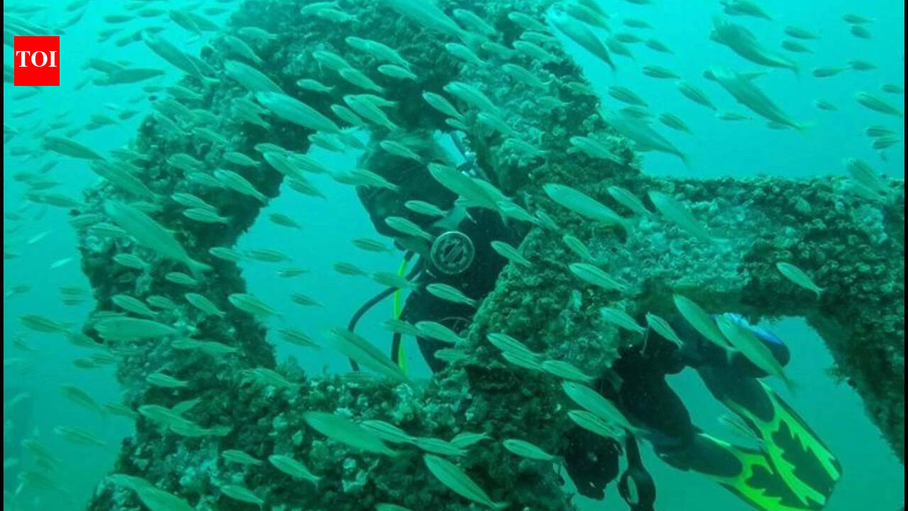 Florida's underwater sculpture garden is now a living reef with 100+ species