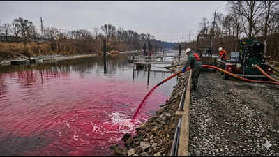 In 2009, Illinois treated a six-mile canal with more than 1,800 gallons of rotenone; crews recovered one bighead carp after the fish kill