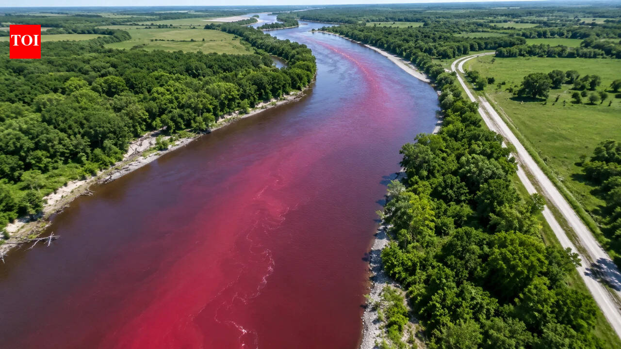 In 2021, US scientists released 12 litres of red dye into a Missouri river; sensors traced the colored plume for 3.7 kil