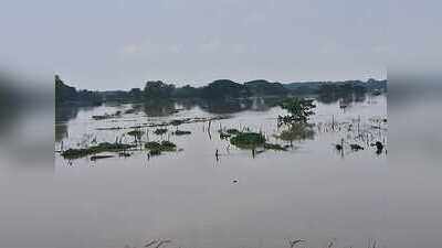 Farmers face huge losses as flood damages paddy crops