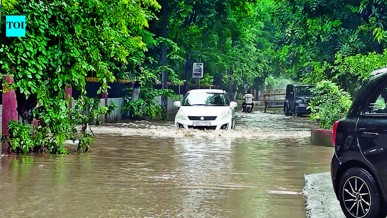 'Summon officials': Rao Inderjit meets CM, seeks accountability over Gurgaon waterlogging