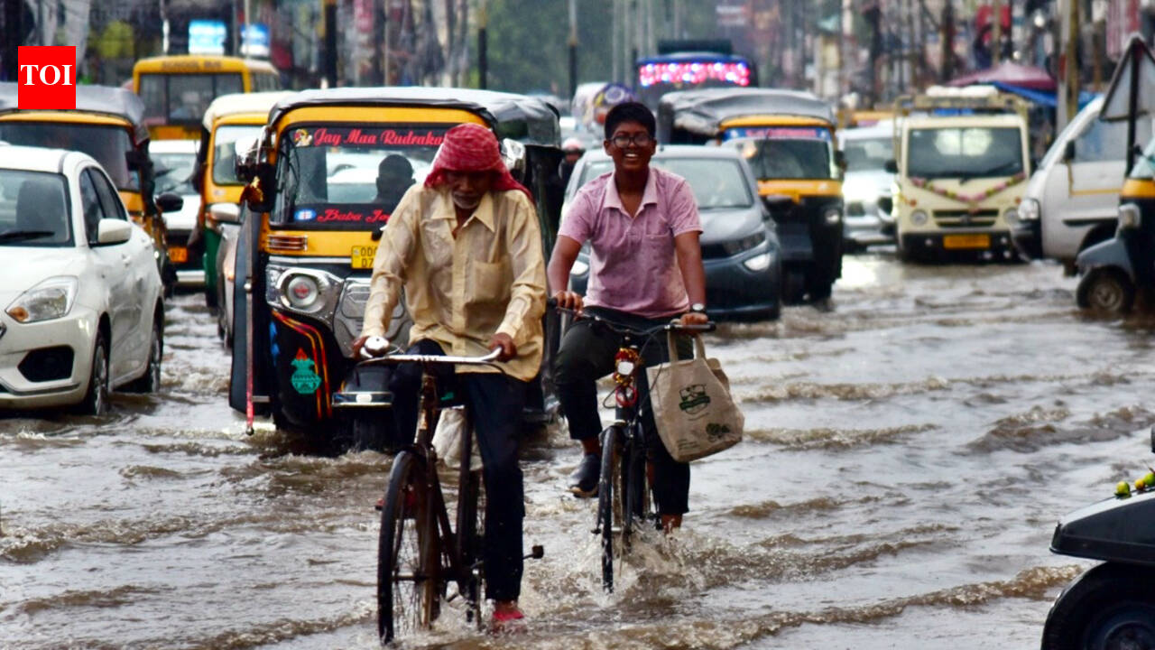 Odisha gets 30.9% excess rainfall this monsoon