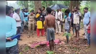 Man trampled to death by elephant in Keonjhar