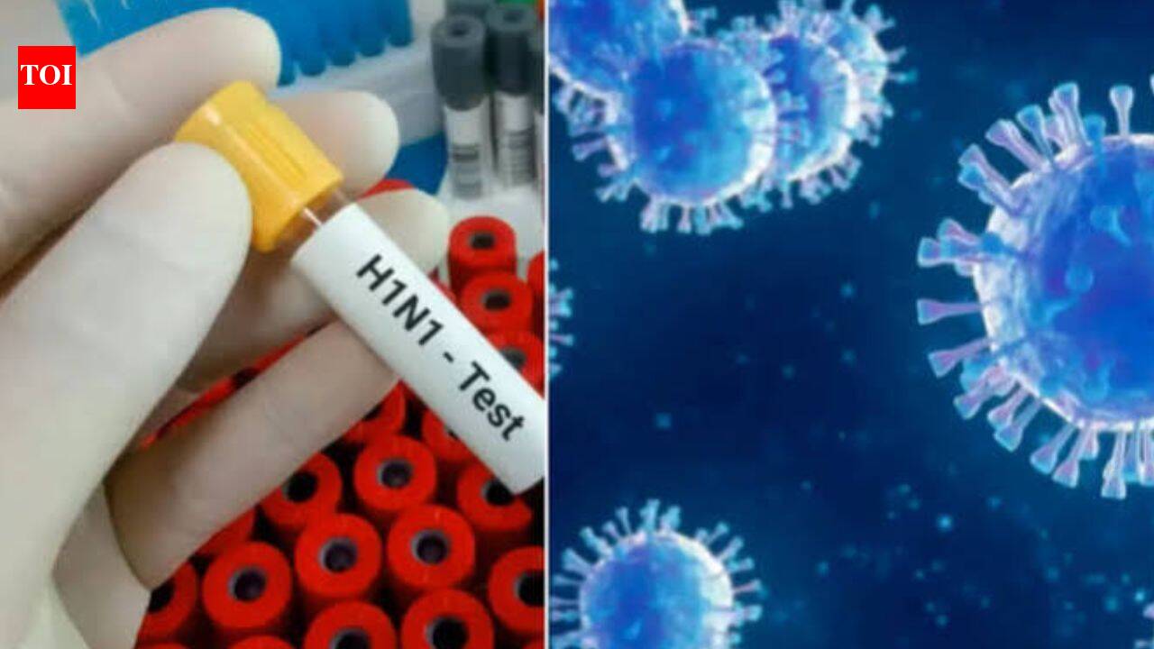 Delhi reports 138 fresh H1N1 cases in 24 hours; tally crosses 2,400