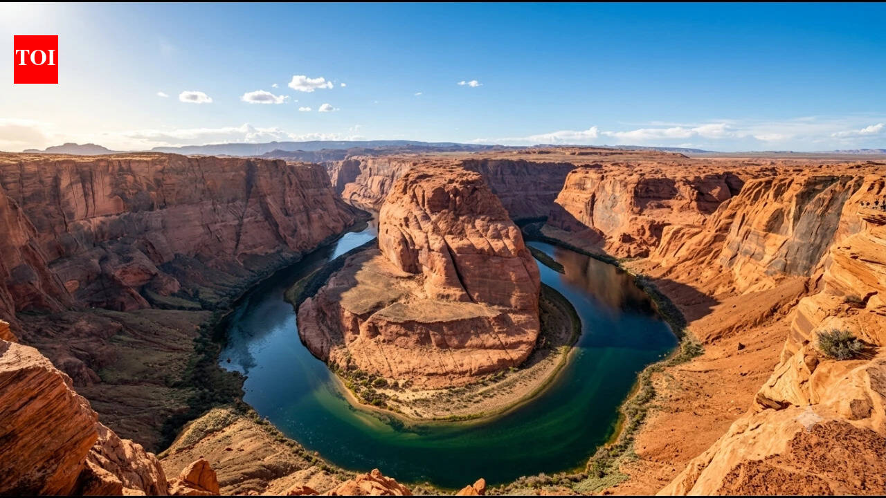 Zebra mussel DNA found in Utah’s Colorado River for first time, raising alarm