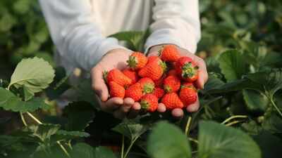 In 2024, a 192,560 sq ft industrial project won approval on 22 acres beside New Jersey’s Monmouth battlefield; two years later the state paid $15 million to preserve the former strawberry farm as part of the park