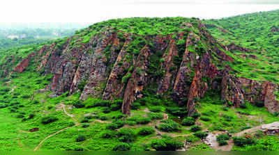 Jully, 2 MPs flag ‘limited’ Aravalli panel outreach, seek wider village visits